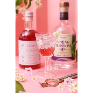 Syrop Lemoniada – cytryna, bez, zielona herbata | Vita-Food